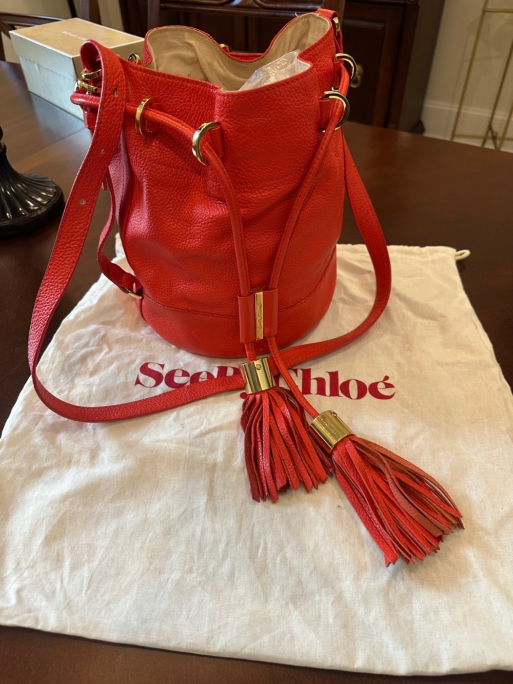 See By Chloé Vibrant Orange Leather Drawstring Bucket Bag with Tassels